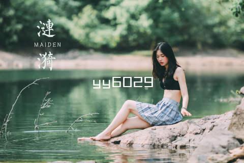 yy6029